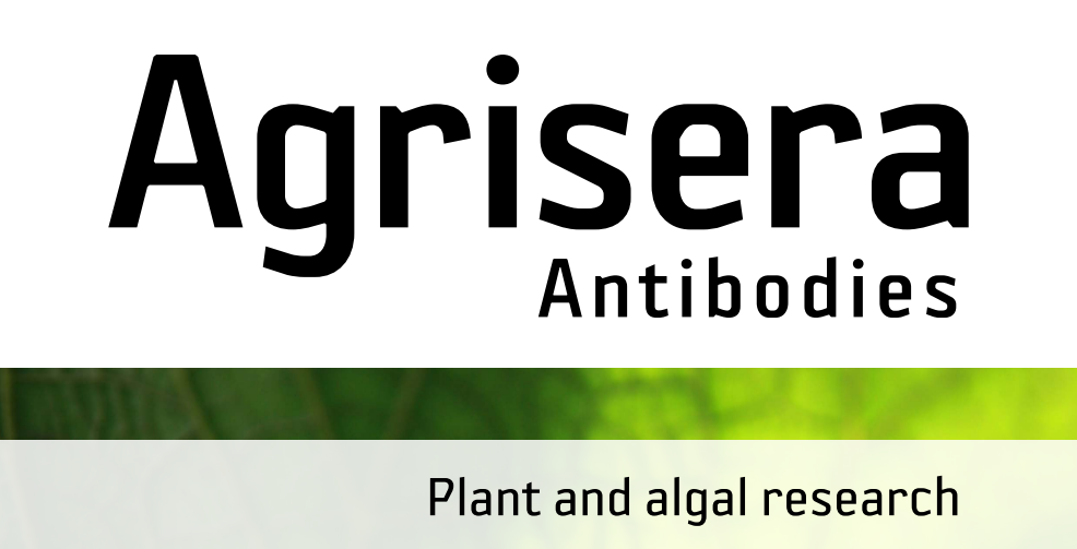 Agrisera MicroRNA相關研究植物蛋白抗體火熱促銷中！